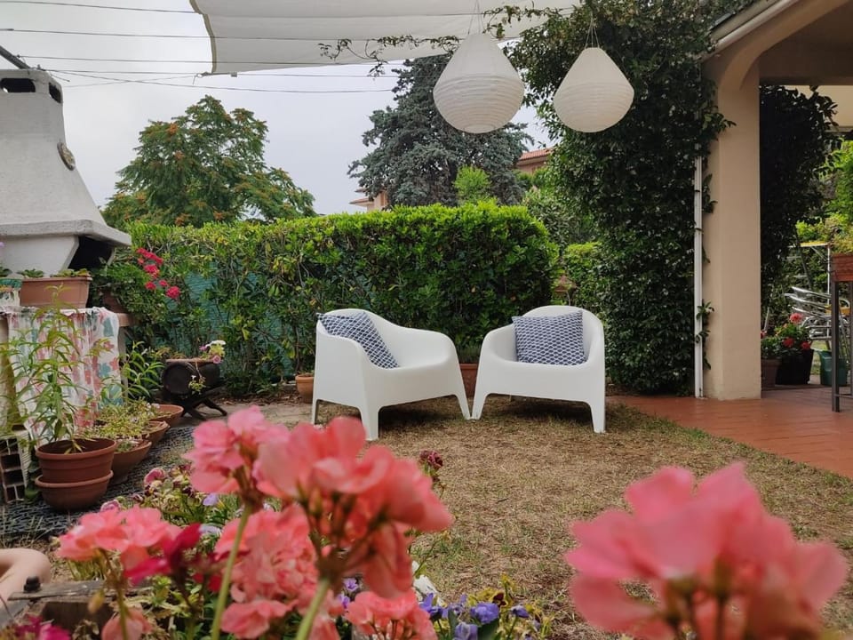 Garden, Garden