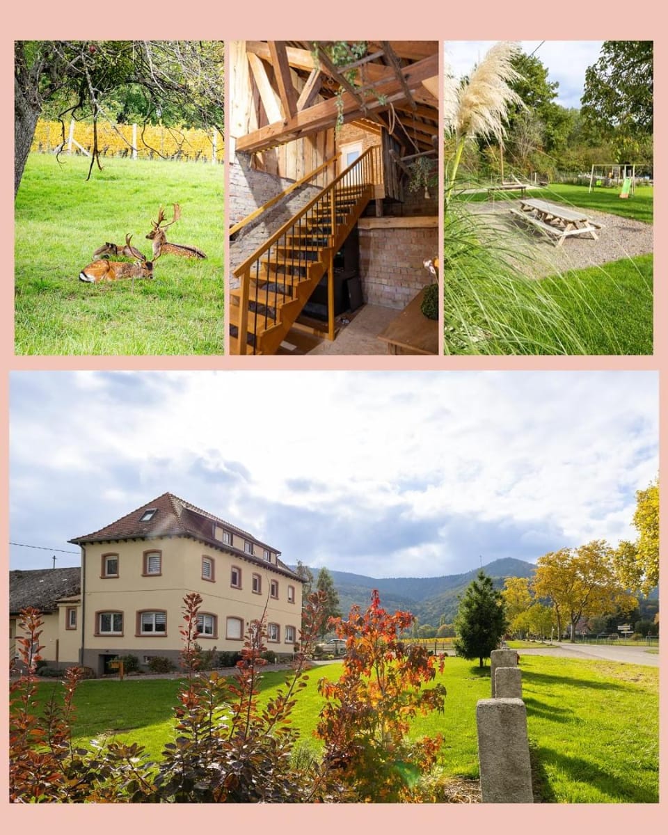 La Perle d'Alsace Bed and Breakfast in Grand Est