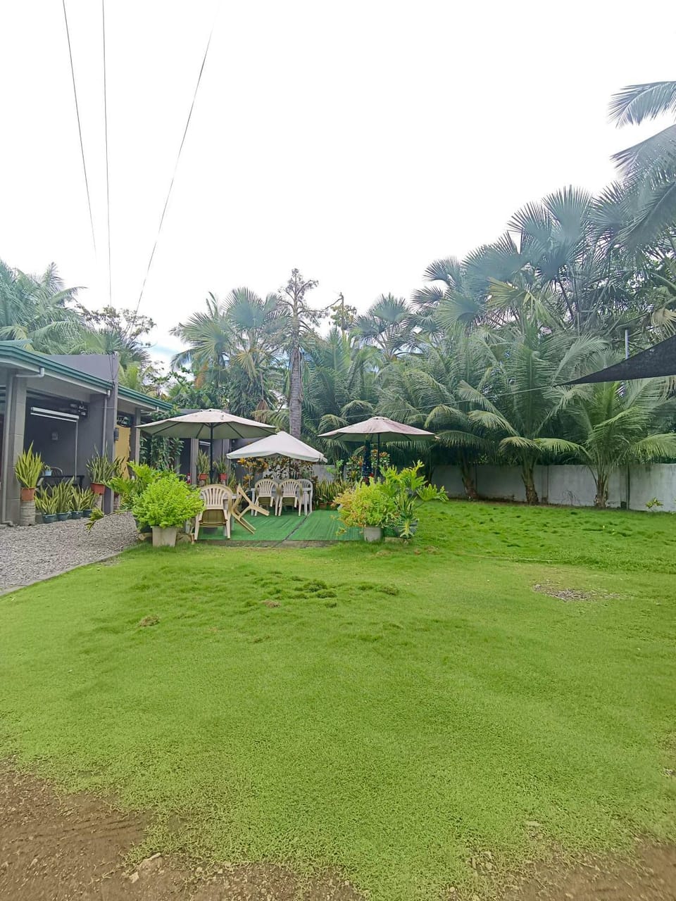 29 Palm's Panglao Suites Apartment in Panglao