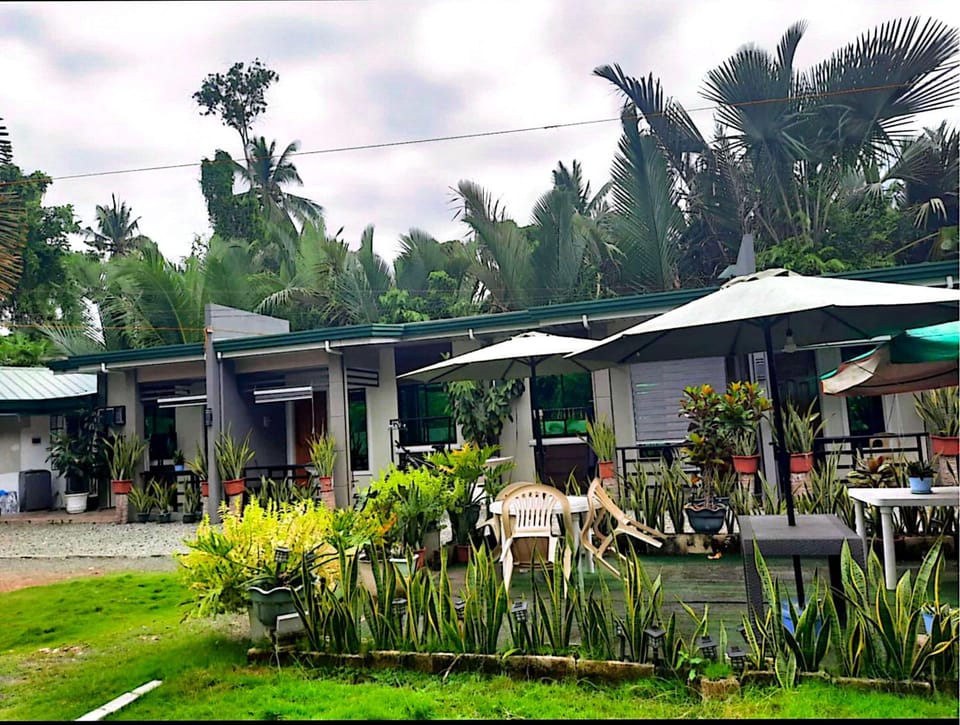 29 Palm's Panglao Suites Apartment in Panglao