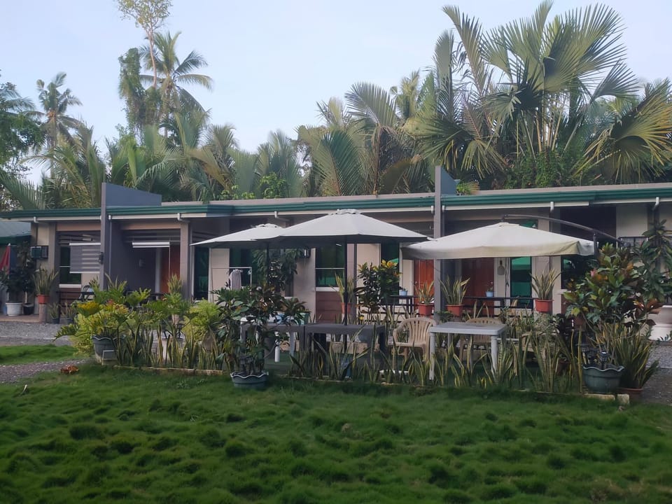 29 Palm's Panglao Suites Apartment in Panglao