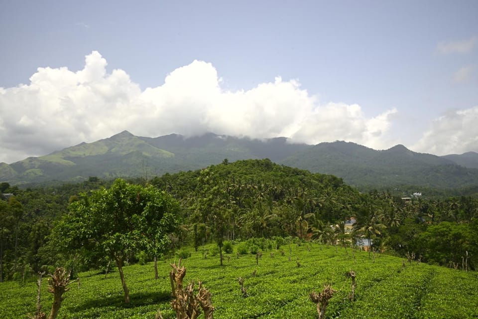 Mountain view