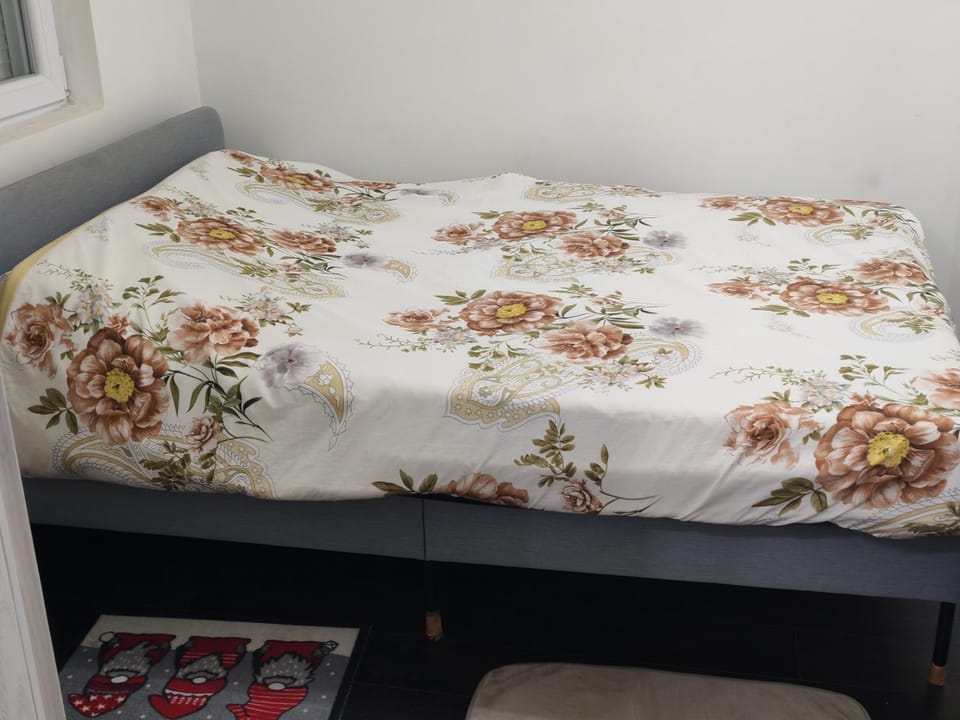Olgica lux Apartment in Serbia