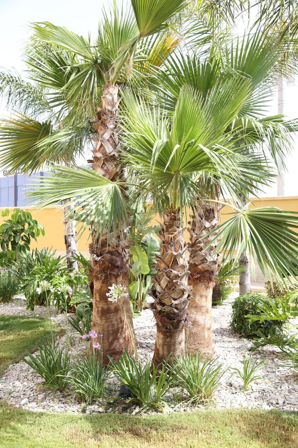 Garden, Garden view