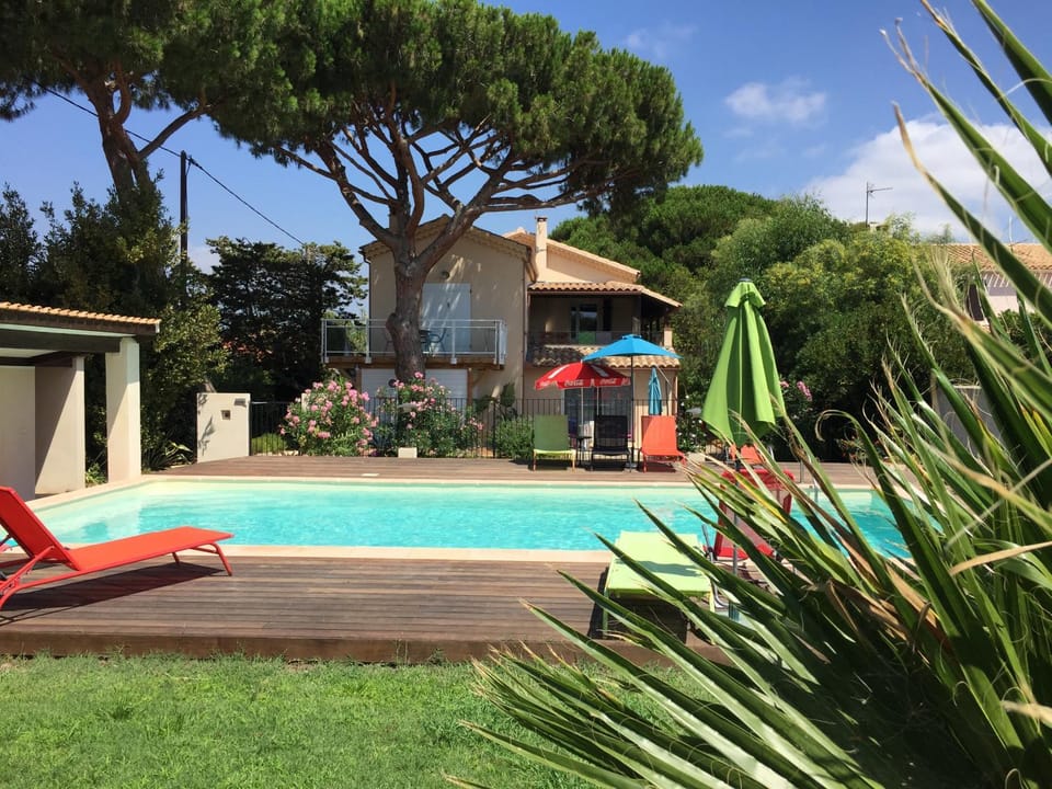Garden, Swimming pool, sunbed