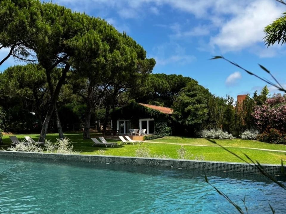 Pool view