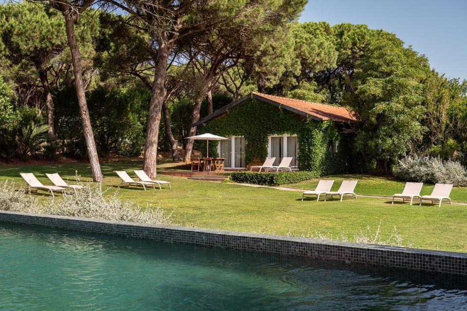 Natural landscape, Garden, Garden view