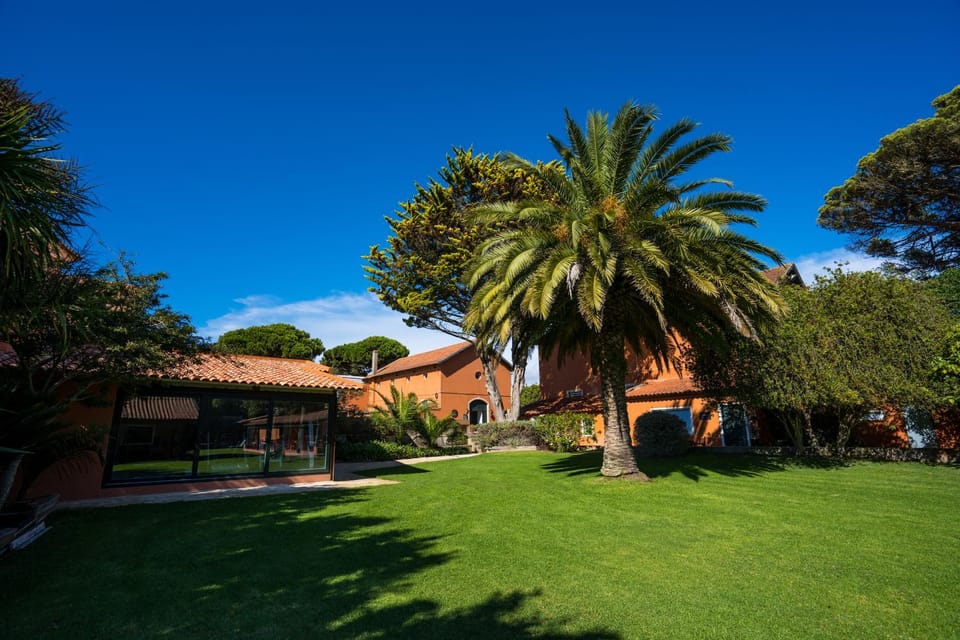 Property building, Activities, Garden, Fitness centre/facilities, Garden view, sunbed