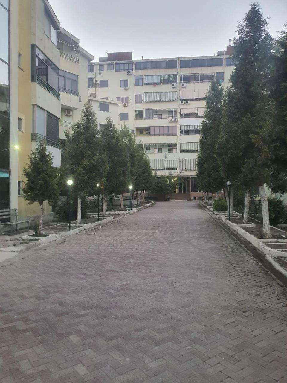Area and facilities