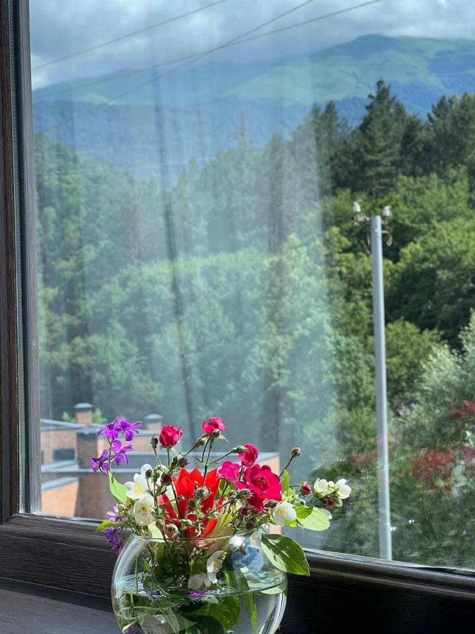 Dili guest house Apartment in Armenia