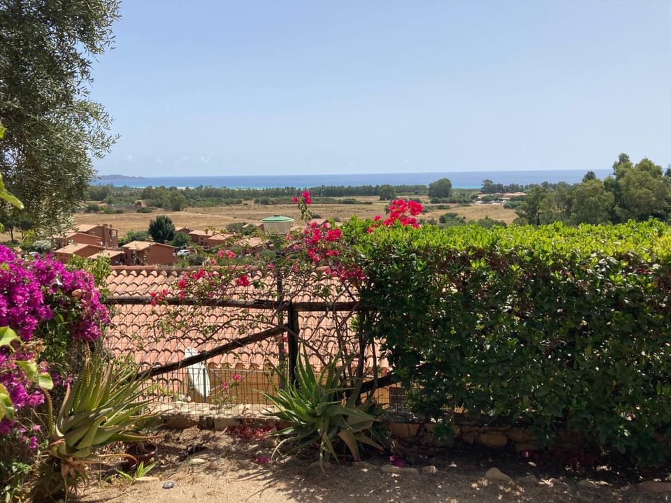 Sea view