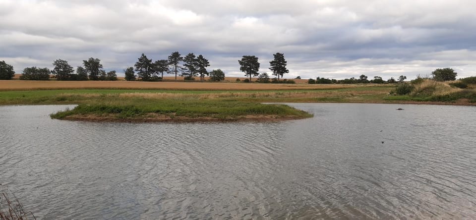 Lake view