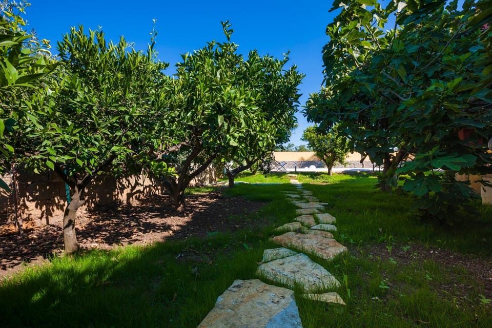 Nearby landmark, Natural landscape