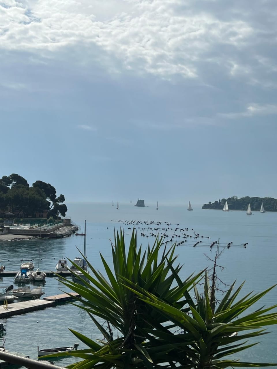 Natural landscape, Beach, Sea view