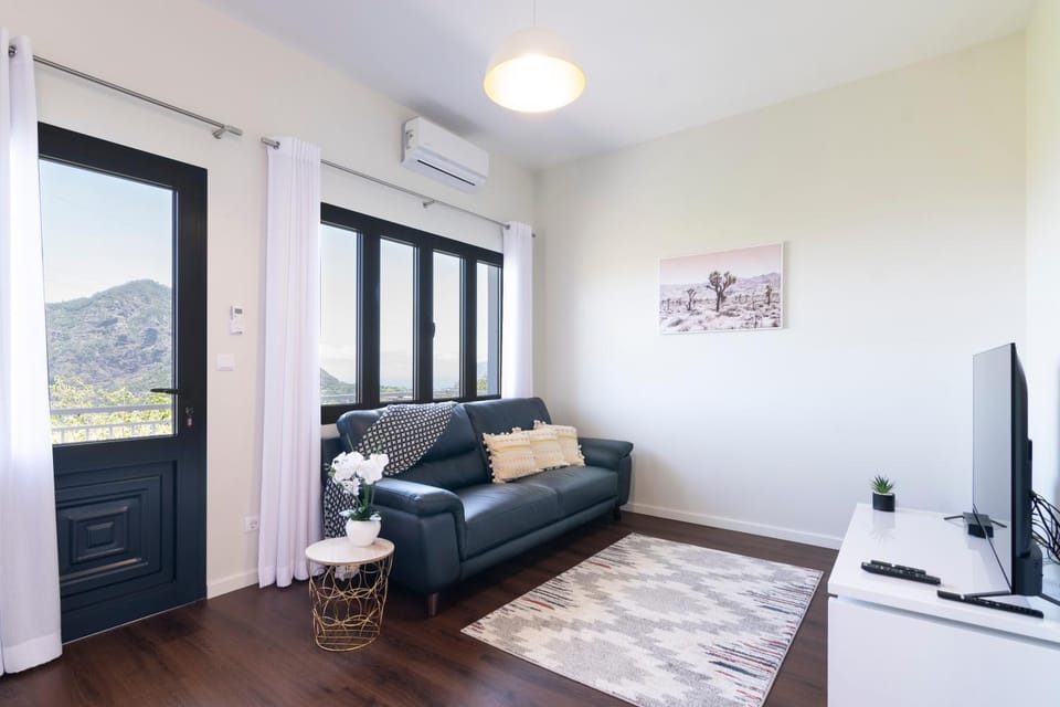 Communal lounge/ TV room, TV and multimedia, Living room, Seating area, air conditioner