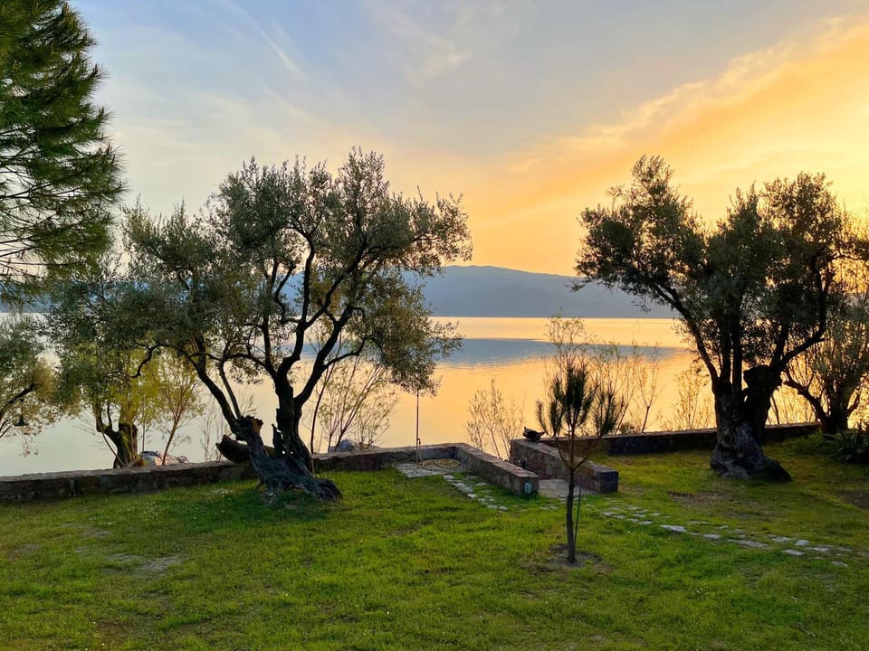 Natural landscape, Garden, Sea view, Sunrise