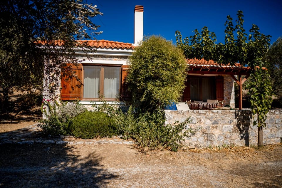 Property building, Day, Garden, Garden view