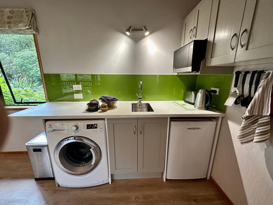 Coffee/tea facilities, Kitchen or kitchenette, minibar, stove, toaster, washing machine