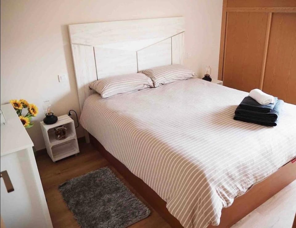 Ático Guara&Pirineos Apartment in Huesca