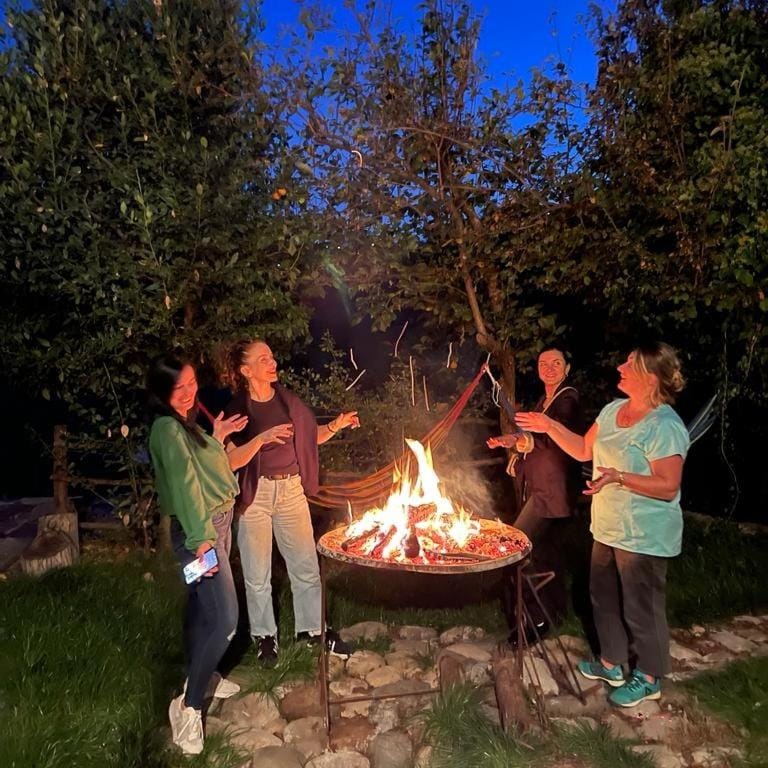 Night, Natural landscape, BBQ facilities, group of guests, flat iron