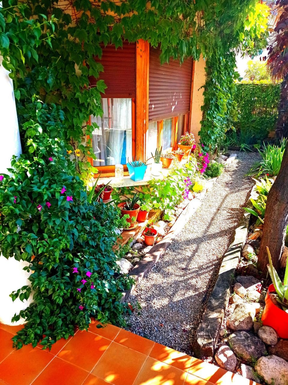 Garden view