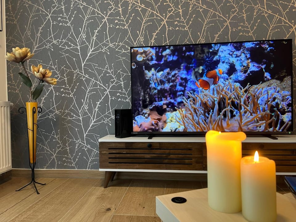 Communal lounge/ TV room, TV and multimedia