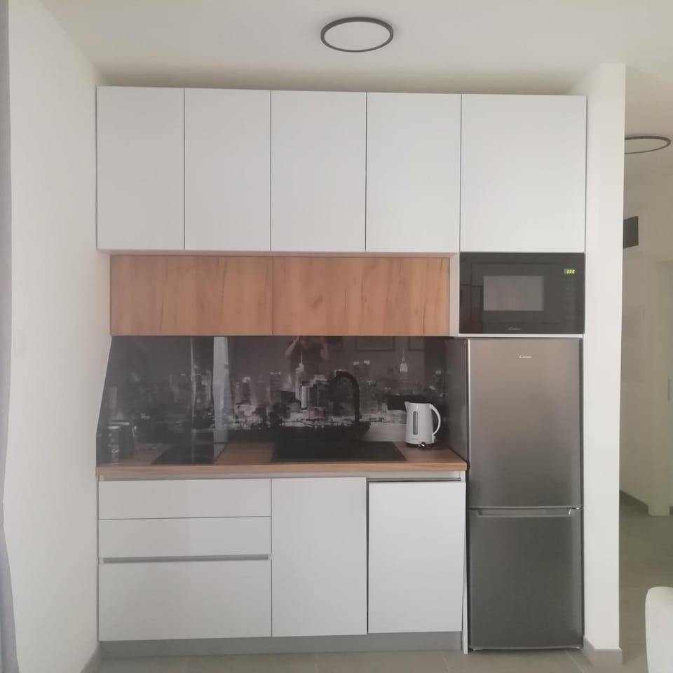 Kitchen or kitchenette, minibar, stove