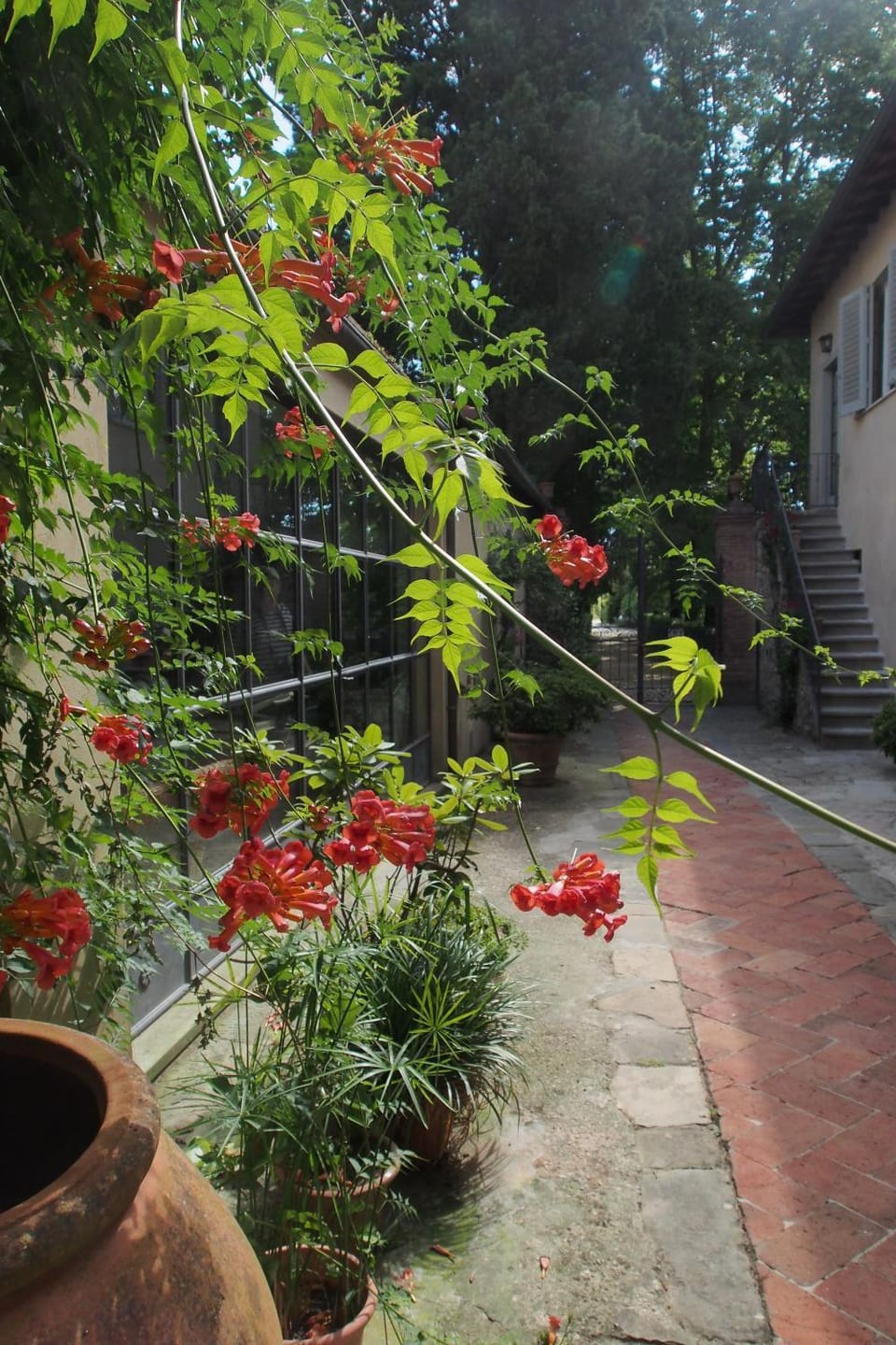 I Parigi Corbinelli Residenze Bed and Breakfast in Florence