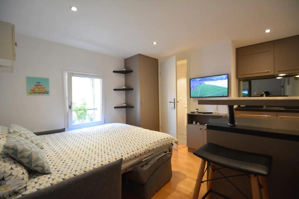 Studio Paquier Annecy hyper centre Old Town Apartment in Annecy