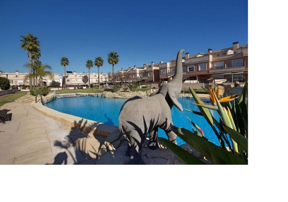Pool view