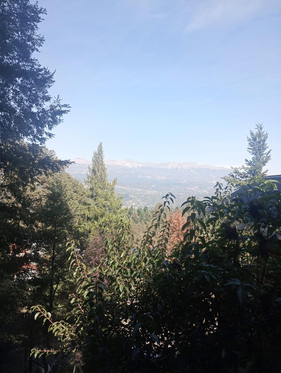Tromen Chalet in San Martín de los Andes