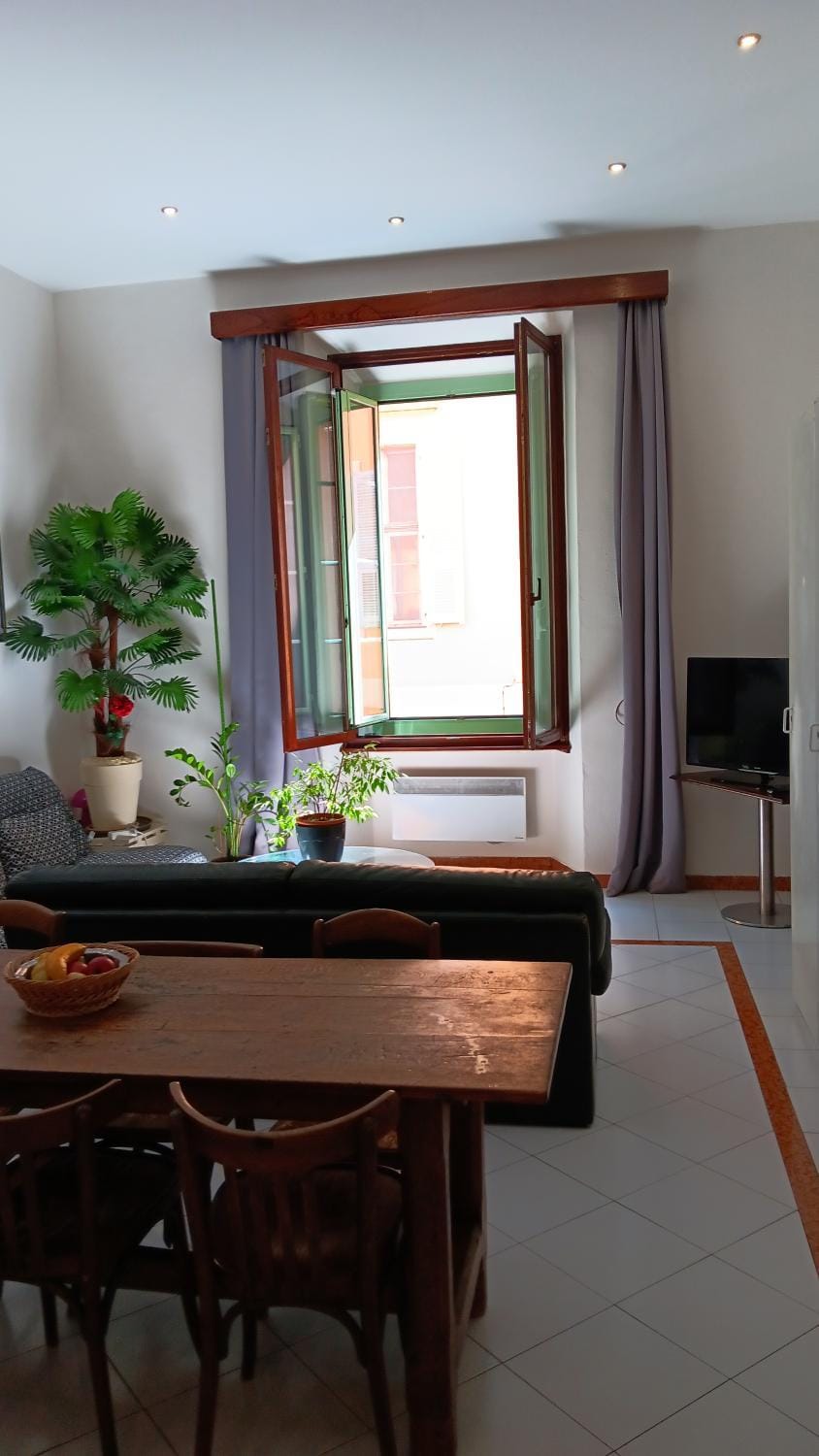 L'anthurium de l'Opéra Apartment in Nice