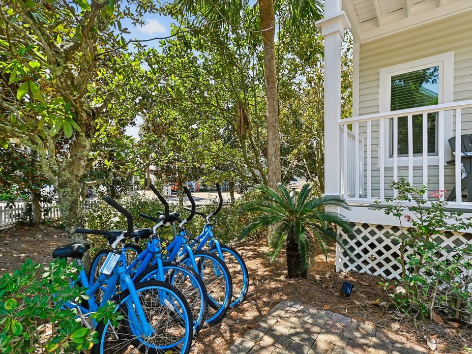 Property building, Neighbourhood, Natural landscape, Garden, Cycling