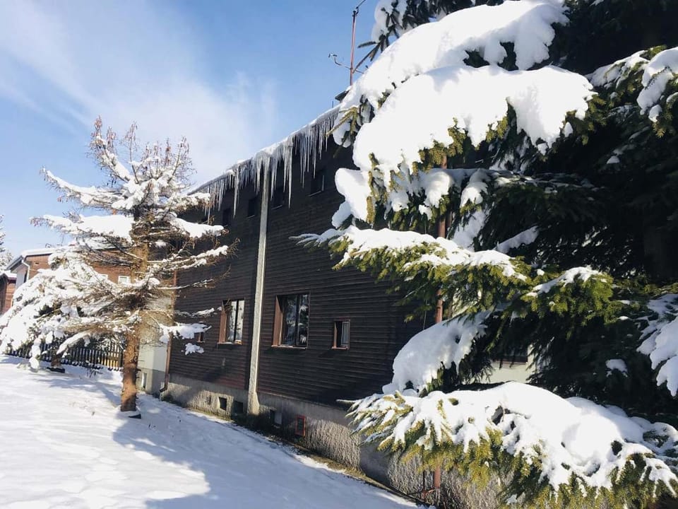 Chalet Gamma Chalet in Czechia