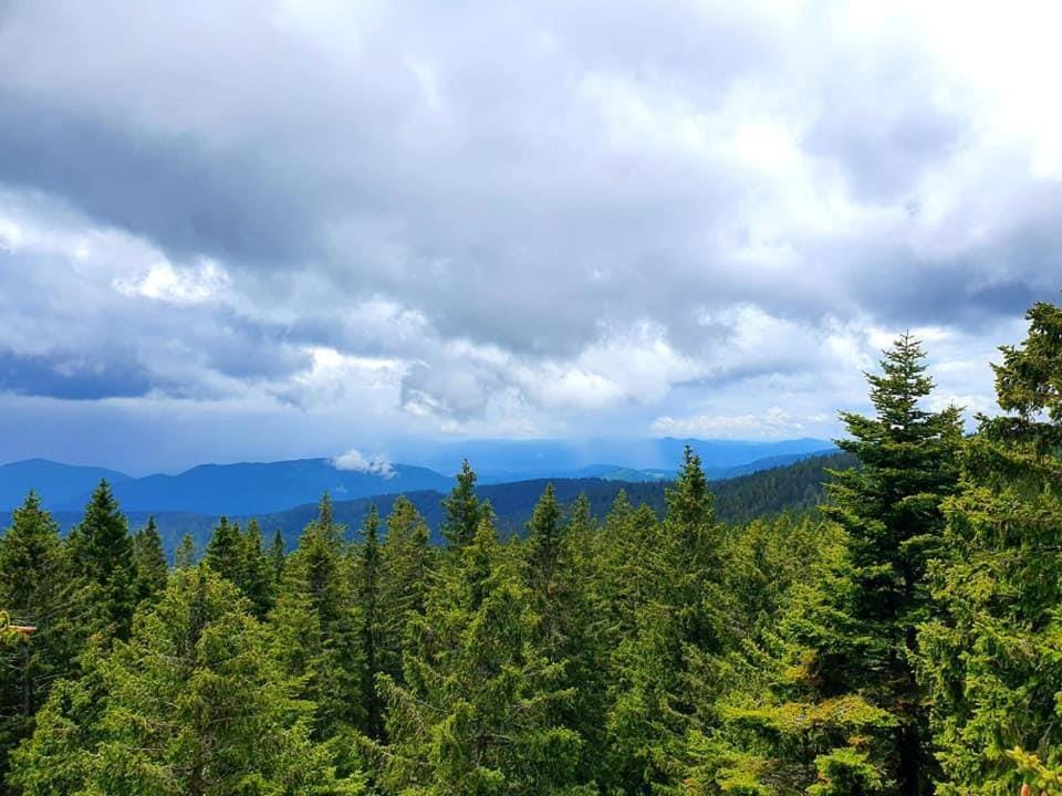 Natural landscape, Hiking, Mountain view