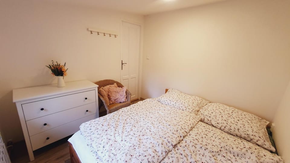 Apartmán U Profesora Apartment in Czechia