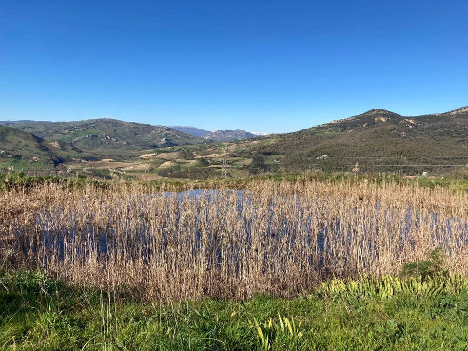 Natural landscape, Lake view, Lake view, Mountain view