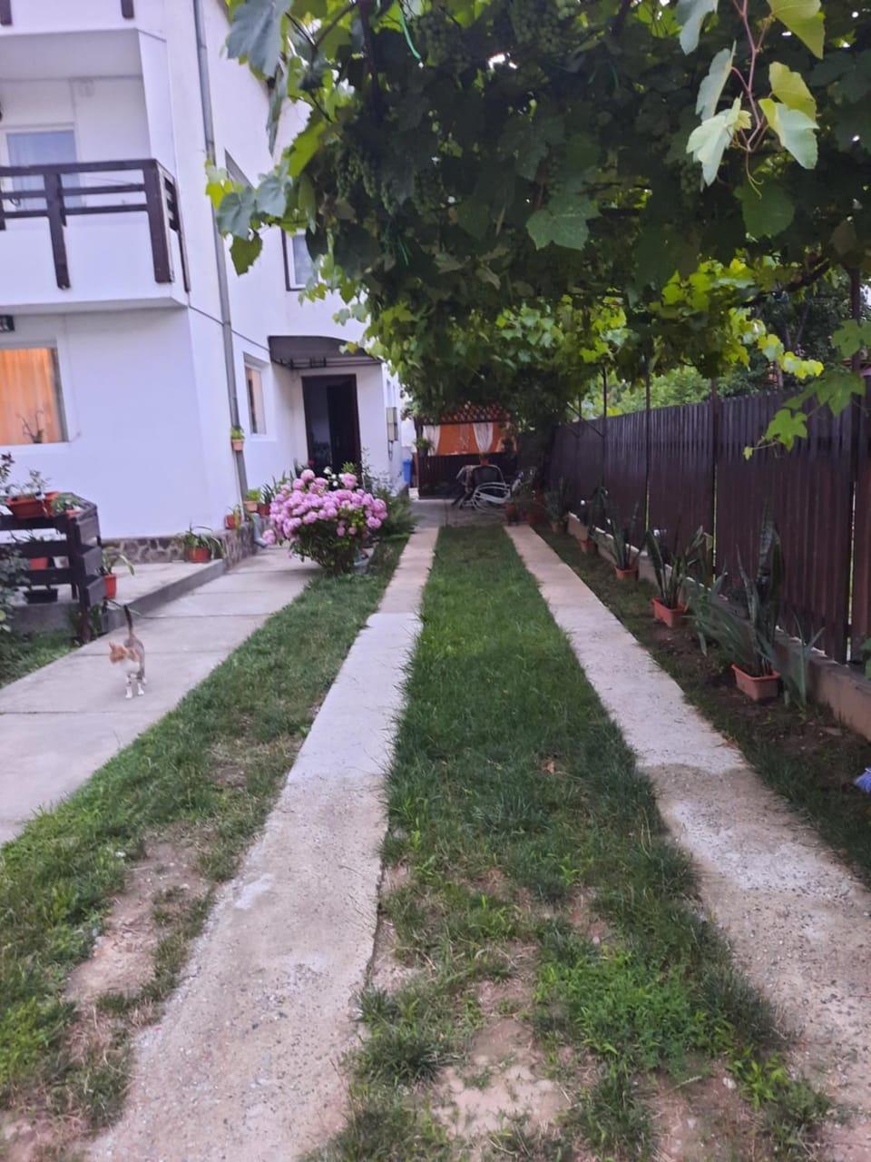Casa Lica Vacation rental in Romania