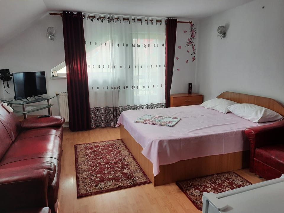 Casa Lica Vacation rental in Romania