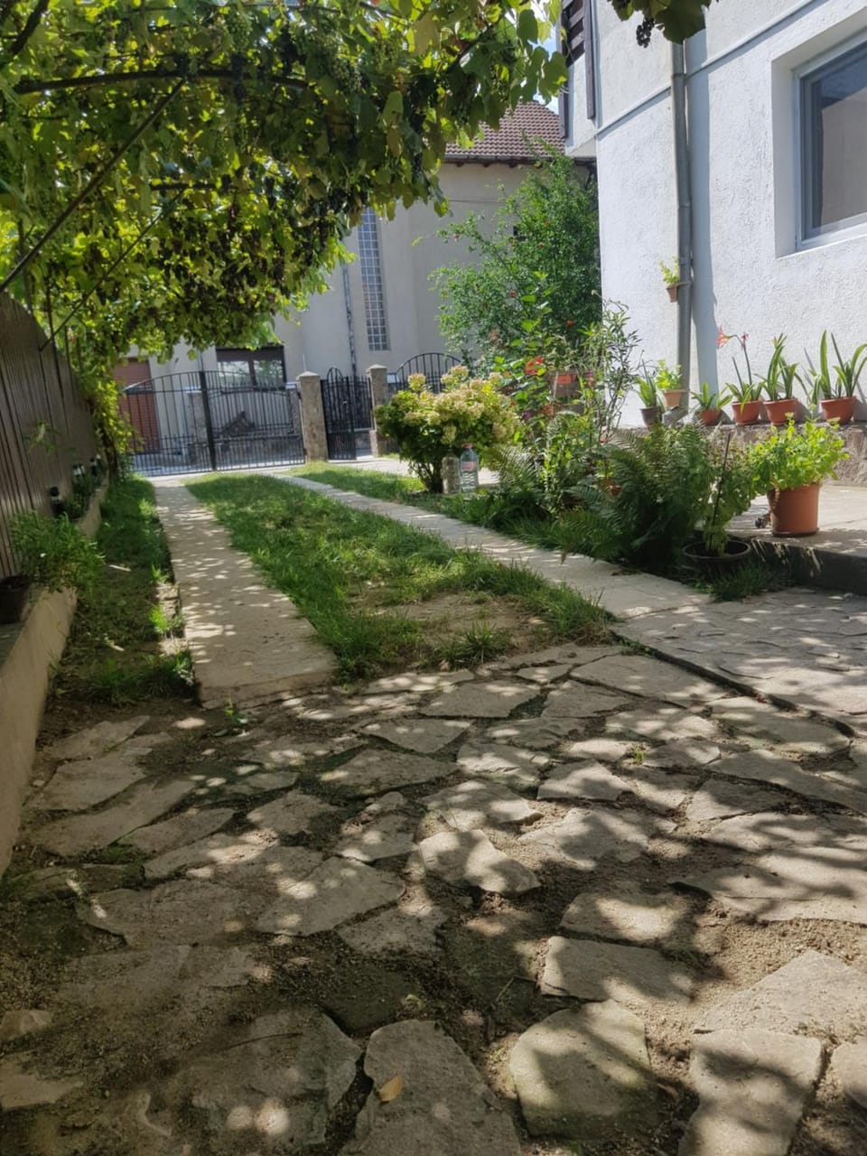 Casa Lica Vacation rental in Romania