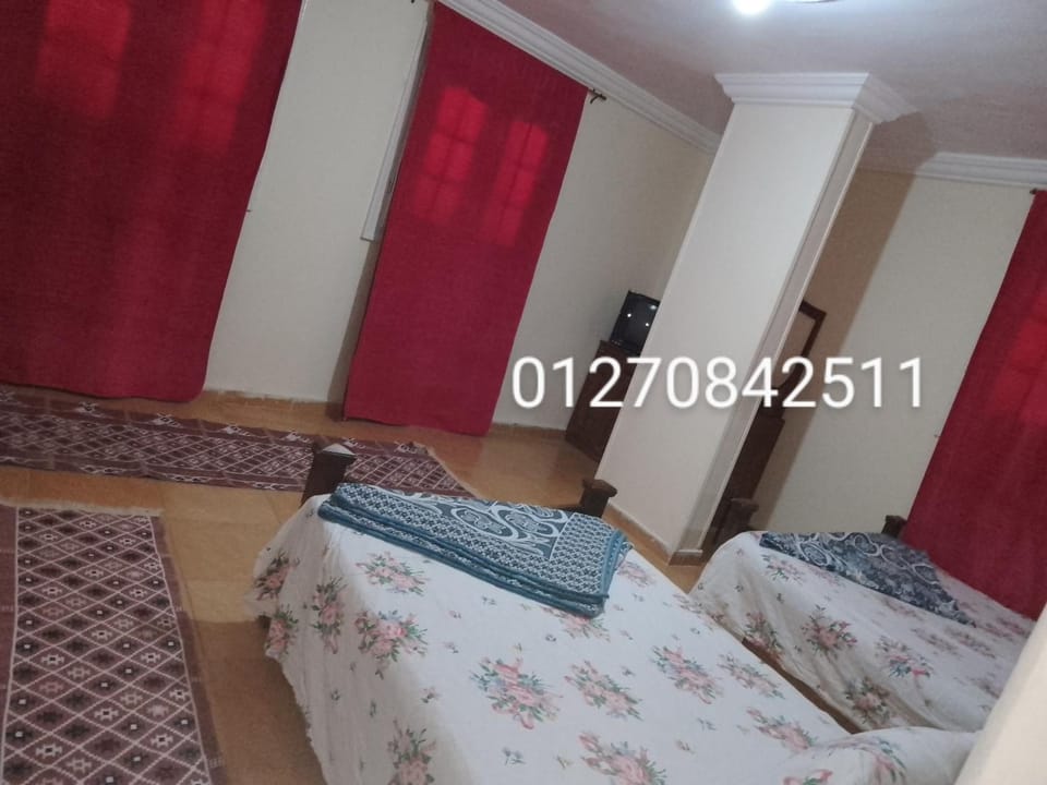 Flamingo Khaled Ibn Elwaleed Apartment in Alexandria