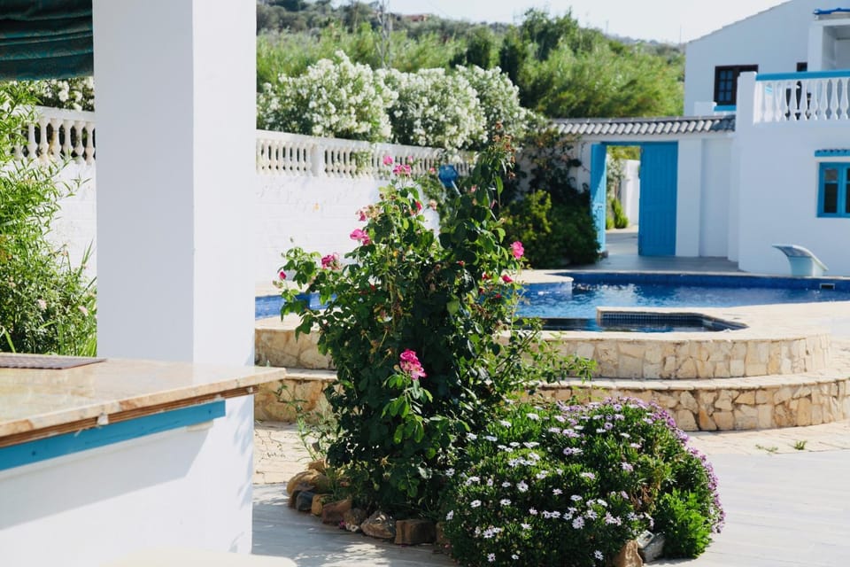 Garden, Pool view, Swimming pool