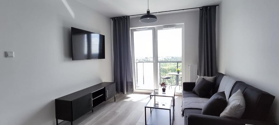 Communal lounge/ TV room, TV and multimedia, Balcony/Terrace, Living room, Seating area