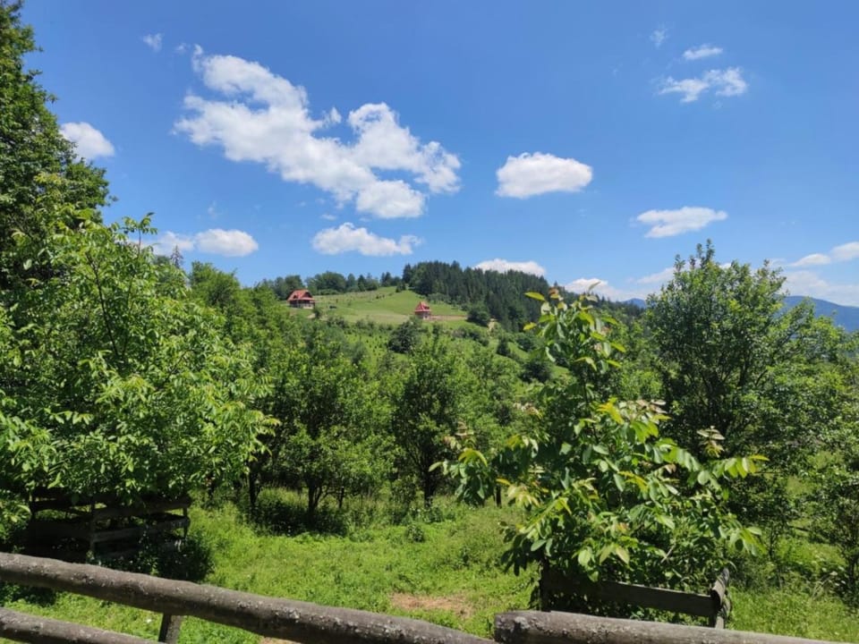Property building, Staff, Natural landscape, Hiking, Location