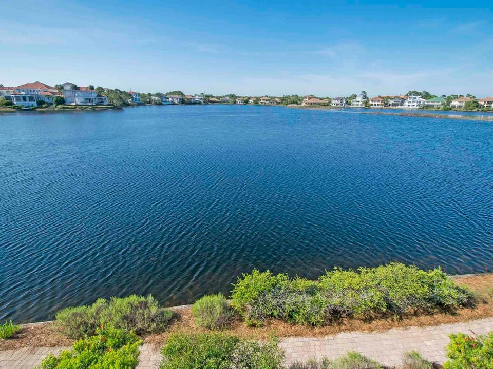Neighbourhood, Lake view