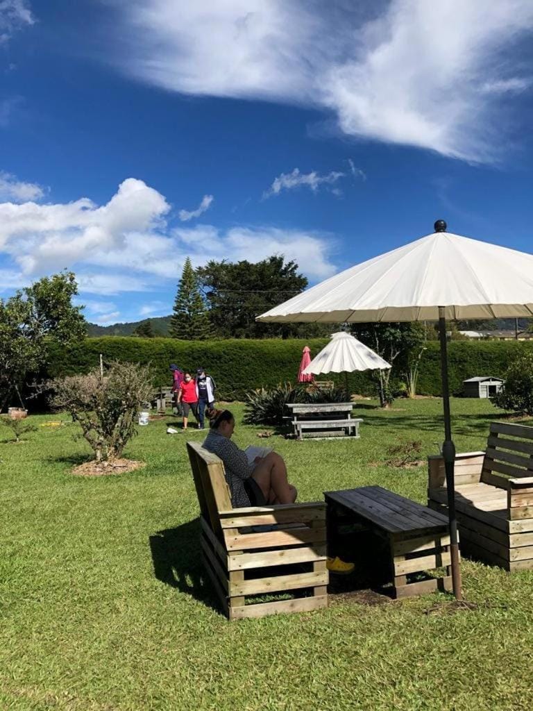 People, Garden, Entertainment, Entertainment