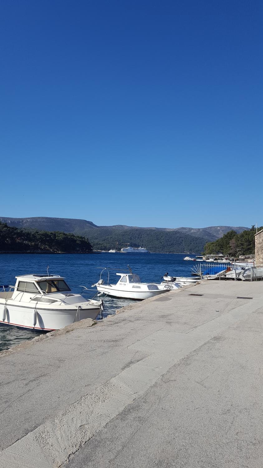 Animari Apartments Apartment in Stari Grad