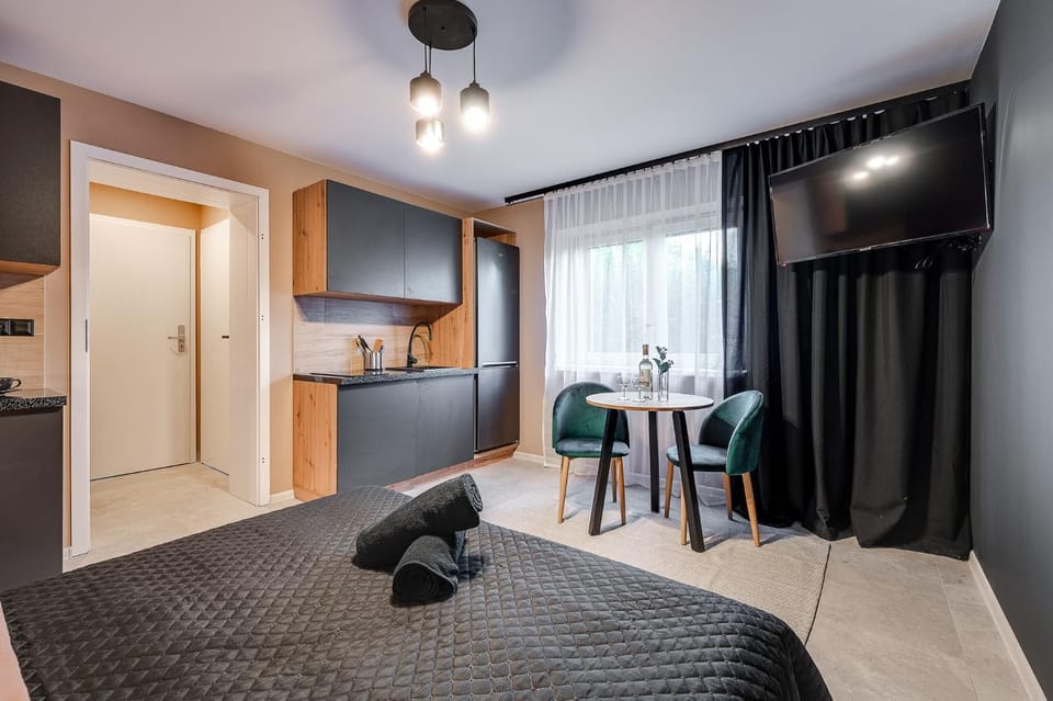 Loft House Apartment Studio z ogródkiem 1 Apartment in Czechia