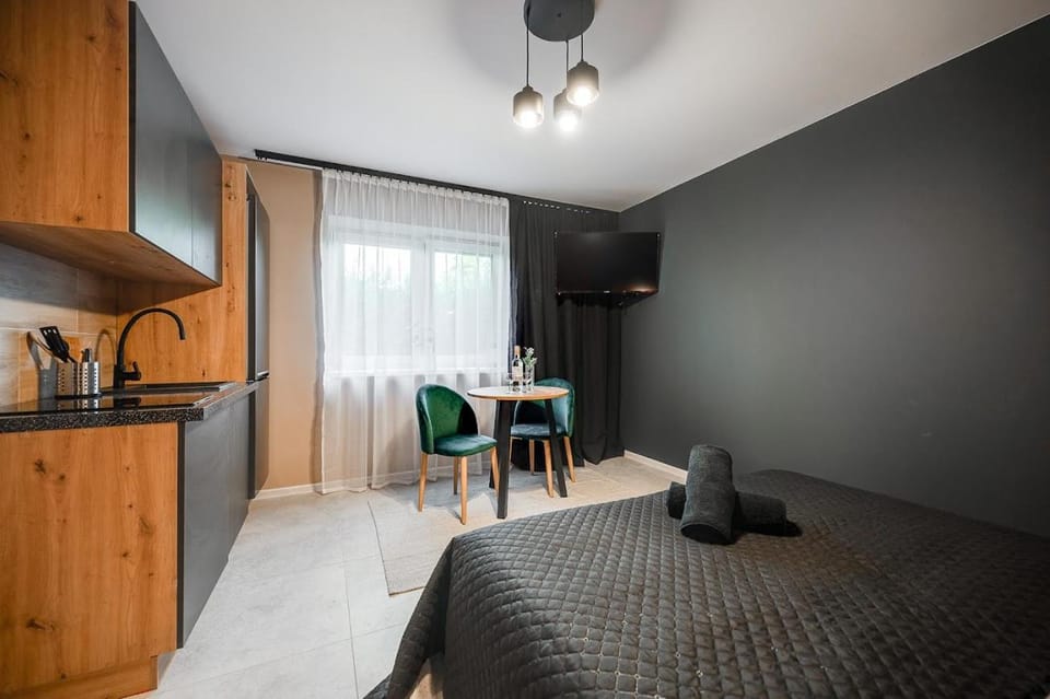 Loft House Apartment Studio z ogródkiem 1 Apartment in Czechia