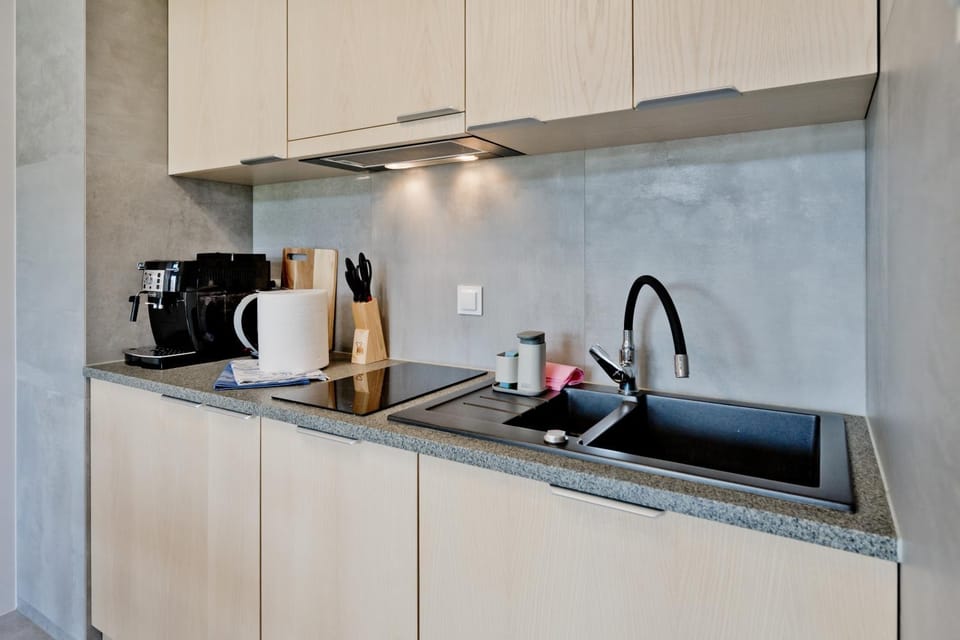 Kitchen or kitchenette, dishwasher